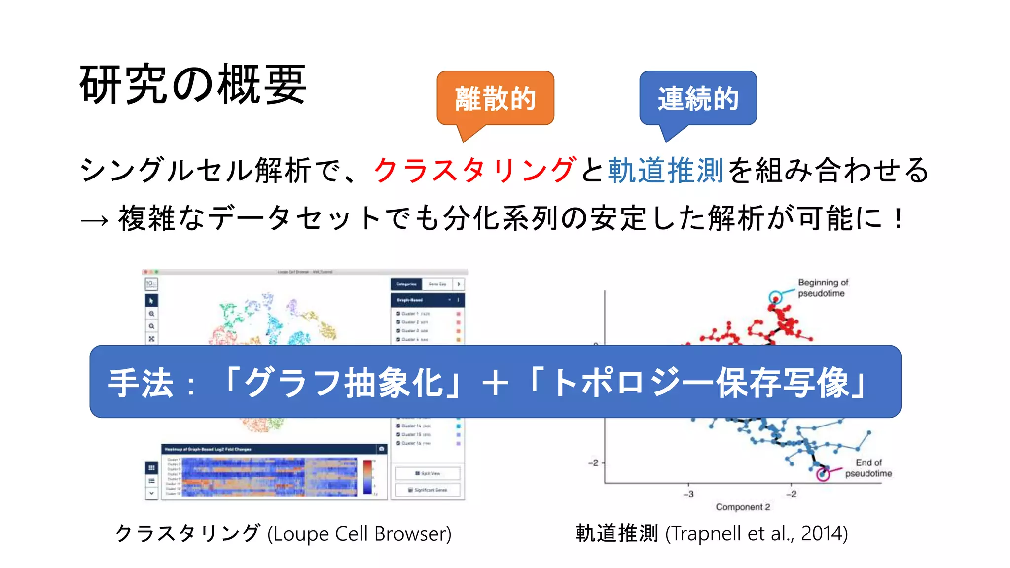 研究の概要
シングルセル解析で、クラスタリングと軌道推測を組み合わせる
離散的 連続的
クラスタリング (Loupe Cell Browser) 軌道推測 (Trapnell et al., 2014)
→ 複雑なデータセットでも分化系列の安定した解析が可能に！
手法：「グラフ抽象化」＋「トポロジー保存写像」
 