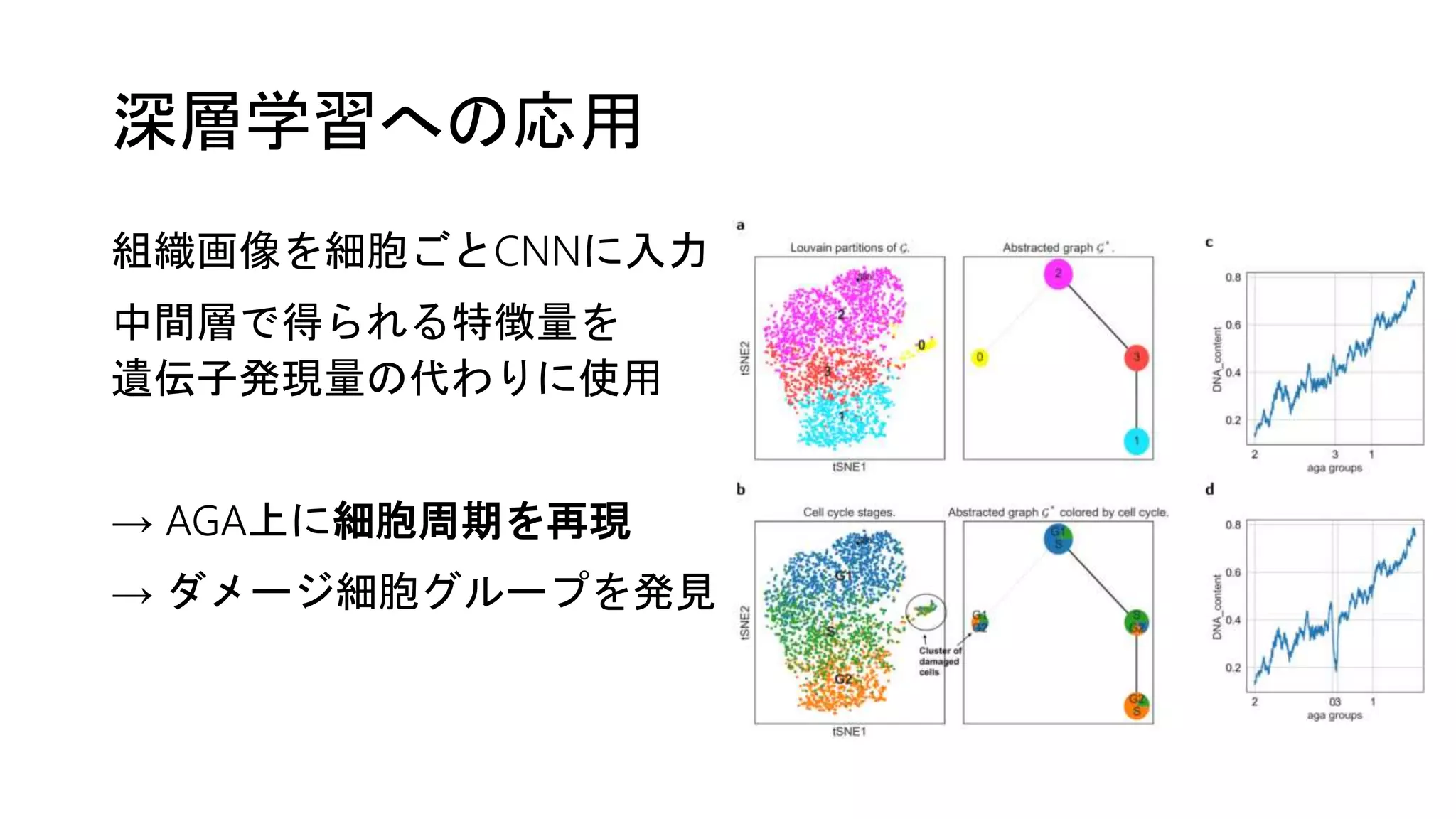 深層学習への応用
組織画像を細胞ごとCNNに入力
中間層で得られる特徴量を
遺伝子発現量の代わりに使用
→ AGA上に細胞周期を再現
→ ダメージ細胞グループを発見
 