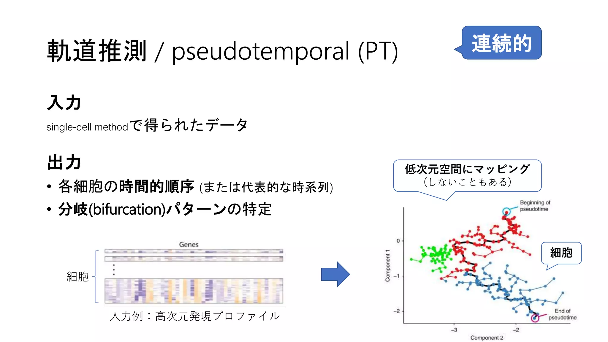 軌道推測 / pseudotemporal (PT)
入力例：高次元発現プロファイル
細胞
細胞
低次元空間にマッピング
(しないこともある)
入力
single-cell methodで得られたデータ
出力
• 各細胞の時間的順序 (または代表的な時系列)
• 分岐(bifurcation)パターンの特定
連続的
 