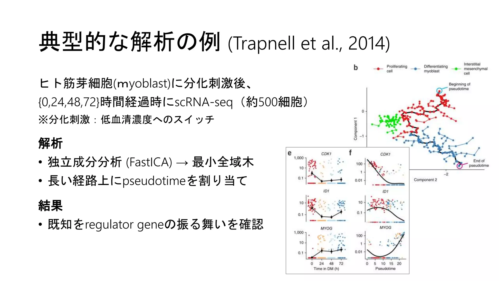 典型的な解析の例 (Trapnell et al., 2014)
ヒト筋芽細胞(ｍyoblast)に分化刺激後、
{0,24,48,72}時間経過時にscRNA-seq（約500細胞）
※分化刺激：低血清濃度へのスイッチ
解析
• 独立成分分析 (FastICA) → 最小全域木
• 長い経路上にpseudotimeを割り当て
結果
• 既知をregulator geneの振る舞いを確認
 