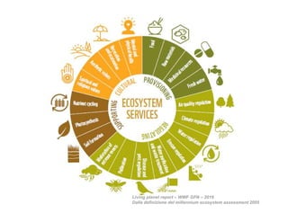 Living planet report – WWF GFN – 2016
Dalla definizione del millennium ecosystem assessment 2005
 