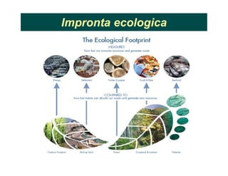 Impronta ecologica
 