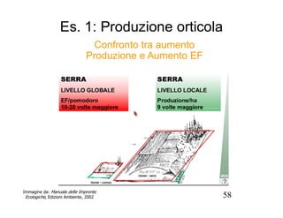 58
Es. 1: Produzione orticola
Confronto tra aumento
Produzione e Aumento EF
Immagine da: Manuale delle Impronte
Ecologiche, Edizioni Ambiente, 2002
 