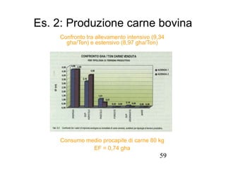 59
Es. 2: Produzione carne bovina
Confronto tra allevamento intensivo (9,34
gha/Ton) e estensivo (8,97 gha/Ton)
Consumo medio procapite di carne 80 kg
EF = 0,74 gha
 