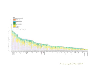 Fonte: Living Planet Report 2014
 