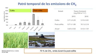 Patró temporal de les emissions de CH4
04/06/2018 9
0,0
5,0
10,0
15,0
20,0
25,0
30,0
mgC-CH4m-2h-1
Cultiu Post-collita Est...