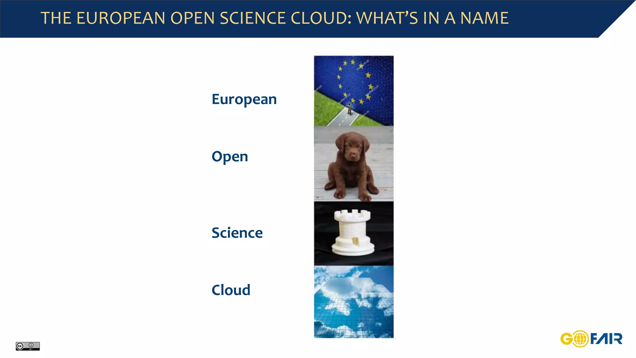 THE EUROPEAN OPEN SCIENCE CLOUD: WHAT’S IN A NAME
European
Open
Science
Cloud
 