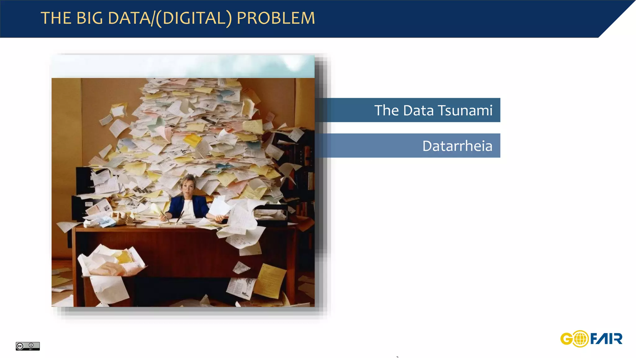 THE BIG DATA/(DIGITAL) PROBLEM
The Data Tsunami
Datarrheia
 
