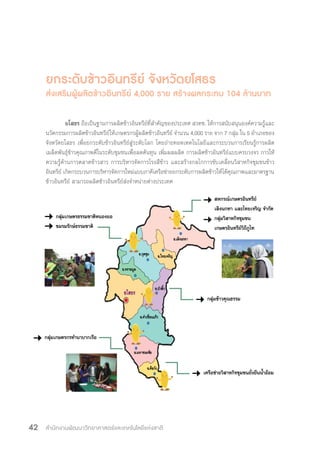 สำ�นักงานพัฒนาวิทยาศาสตร์และเทคโนโลยีแห่งชาติ42
ยกระดับข้าวอินทรีย์ จังหวัดยโสธร
ส่งเสริมผู้ผลิตข้าวอินทรีย์ 4,000 ราย สร้างผลกระทบ 104 ล้านบาท
	ยโสธร ถือเป็นฐานการผลิตข้าวอินทรีย์ที่ส�ำคัญของประเทศ สวทช. ให้การสนับสนุนองค์ความรู้และ
นวัตกรรมการผลิตข้าวอินทรีย์ให้เกษตรกรผู้ผลิตข้าวอินทรีย์ จ�ำนวน 4,000 ราย จาก 7 กลุ่ม ใน 5 อ�ำเภอของ
จังหวัดยโสธร เพื่อยกระดับข้าวอินทรีย์สู่ระดับโลก โดยถ่ายทอดเทคโนโลยีและกระบวนการเรียนรู้การผลิต
เมล็ดพันธุ์ข้าวคุณภาพดีในระดับชุมชนเพื่อลดต้นทุน เพิ่มผลผลิต การผลิตข้าวอินทรีย์แบบครบวงจร การให้
ความรู้ด้านการตลาดข้าวสาร การบริหารจัดการโรงสีข้าว และสร้างกลไกการขับเคลื่อนวิสาหกิจชุมชนข้าว
อินทรีย์ เกิดกระบวนการบริหารจัดการใหม่แบบภาคีเครือข่ายยกระดับการผลิตข้าวให้ได้คุณภาพและมาตรฐาน
ข้าวอินทรีย์ สามารถผลิตข้าวอินทรีย์ส่งจ�ำหน่ายต่างประเทศ
กลุ่มเกษตรธรรมชาติหนองยอ
ชมรมรักษ์ธรรมชาติ
สหกรณ์เกษตรอินทรีย์
เลิงนกทา และไทยเจริญ จ�ำกัด
กลุ่มวิสาหกิจชุมชน
เกษตรอินทรีย์วิถีภูไท
กลุ่มข้าวคุณธรรม
เครือข่ายวิสาหกิจชุมชนยั่งยืนน�้ำอ้อม
กลุ่มเกษตรกรท�ำนาบากเรือ
 