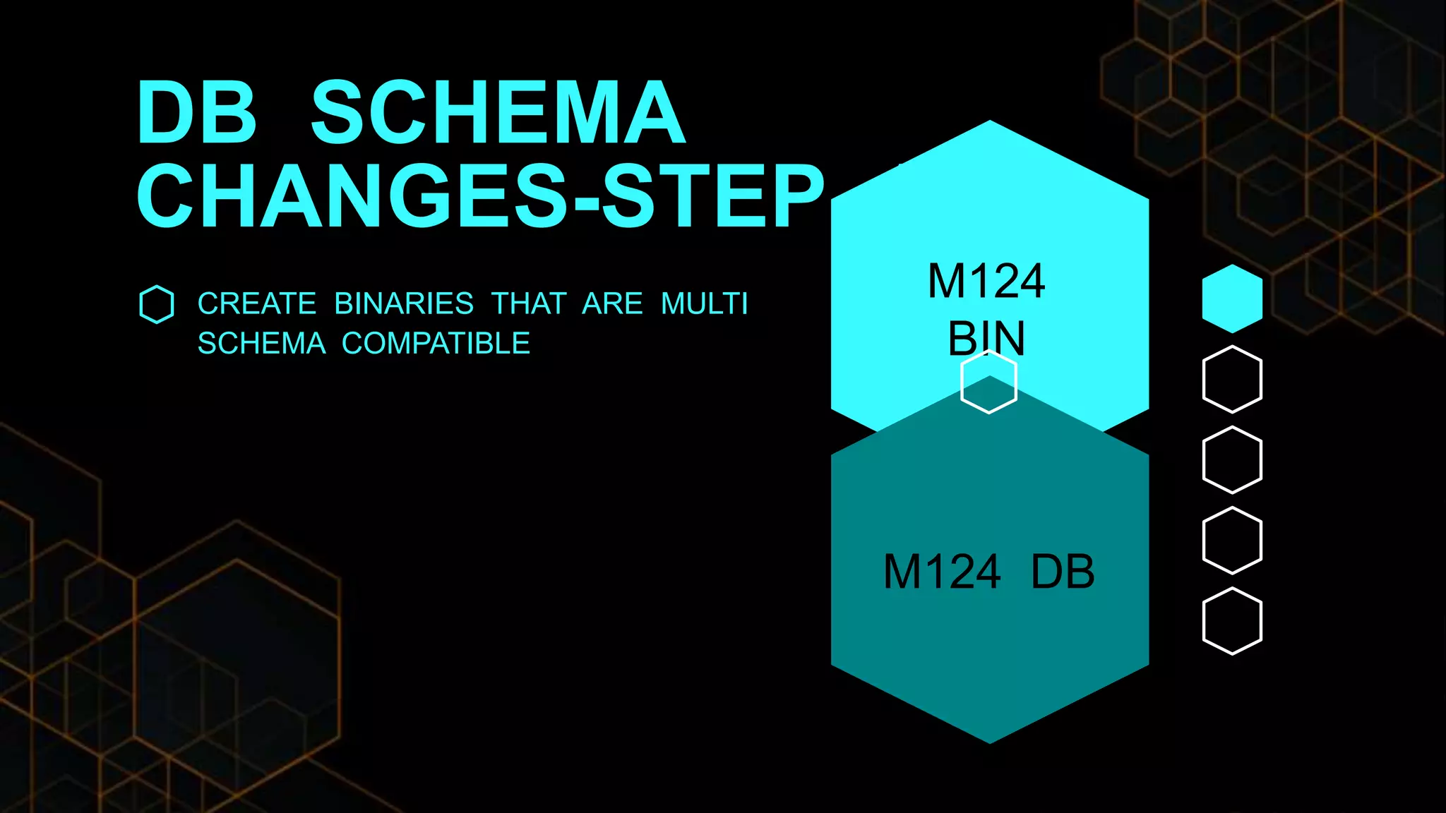 DB SCHEMA
CHANGES-STEP 1
CREATE BINARIES THAT ARE MULTI
SCHEMA COMPATIBLE
M124
BIN
M124 DB
 