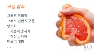 모델 압축
그래프 프리징
그래프 변환 도구들
양자화
가중치 양자화
계산 양자화
메모리 매핑
 