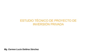 Mg. Carmen Lucía Geldres Sánchez
ESTUDIO TÉCNICO DE PROYECTO DE
INVERSIÓN PRIVADA
 