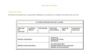ESTUDIO TÉCNICO
Tamaño de planta
El tamaño de planta es su capacidad instalada y se expresa en unidades de producción por año
 