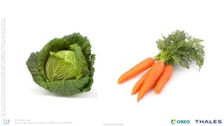 13
THALES GROUP OPEN
Thisdocumentmaynotbereproduced,modified,adapted,published,translated,inanyway,inwholeorin
partordisclosedtoathirdpartywithoutthepriorwrittenconsentofThales-©Thales2015Allrightsreserved.
Ref number- date
Name of the company/ Template : 87204467-DOC-GRP-EN-002
 