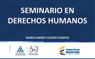 SEMINARIO EN
DERECHOS HUMANOS
MARIO ANDREY CASTRO CAMPOS
 