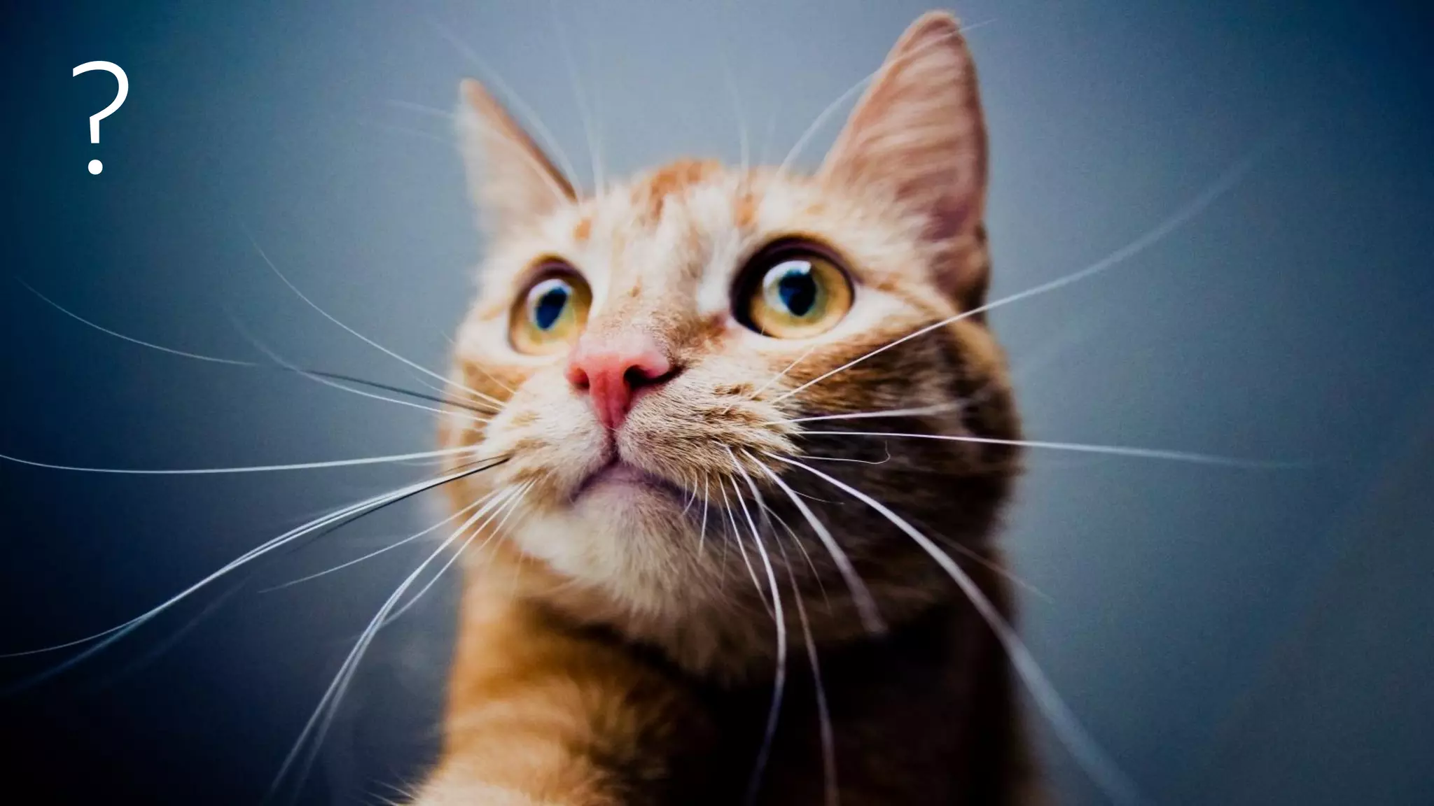 © 2018, Amazon Web Services, Inc. or its Affiliates. All rights reserved.
?
 