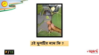 এই েভ িটির ন্াম ম্ভক ?
 