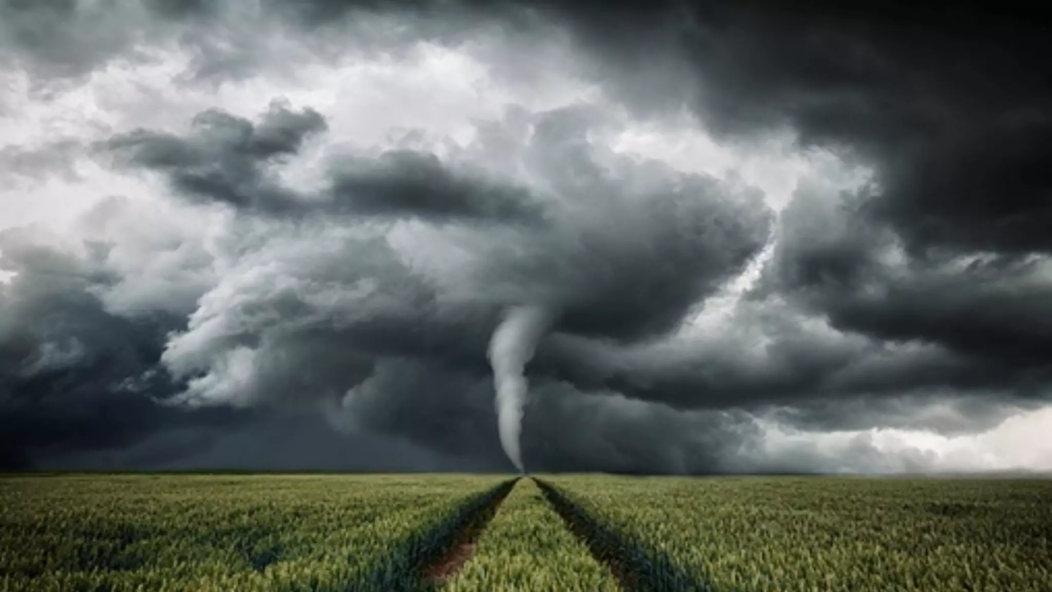 11
eCommerce Spending pro Kopf 2017
 