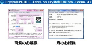 47CrystalCPUID 5 -Estel- vs CrystalDiskInfo -Feena-
司祭のお嬢様 月のお姫様
 