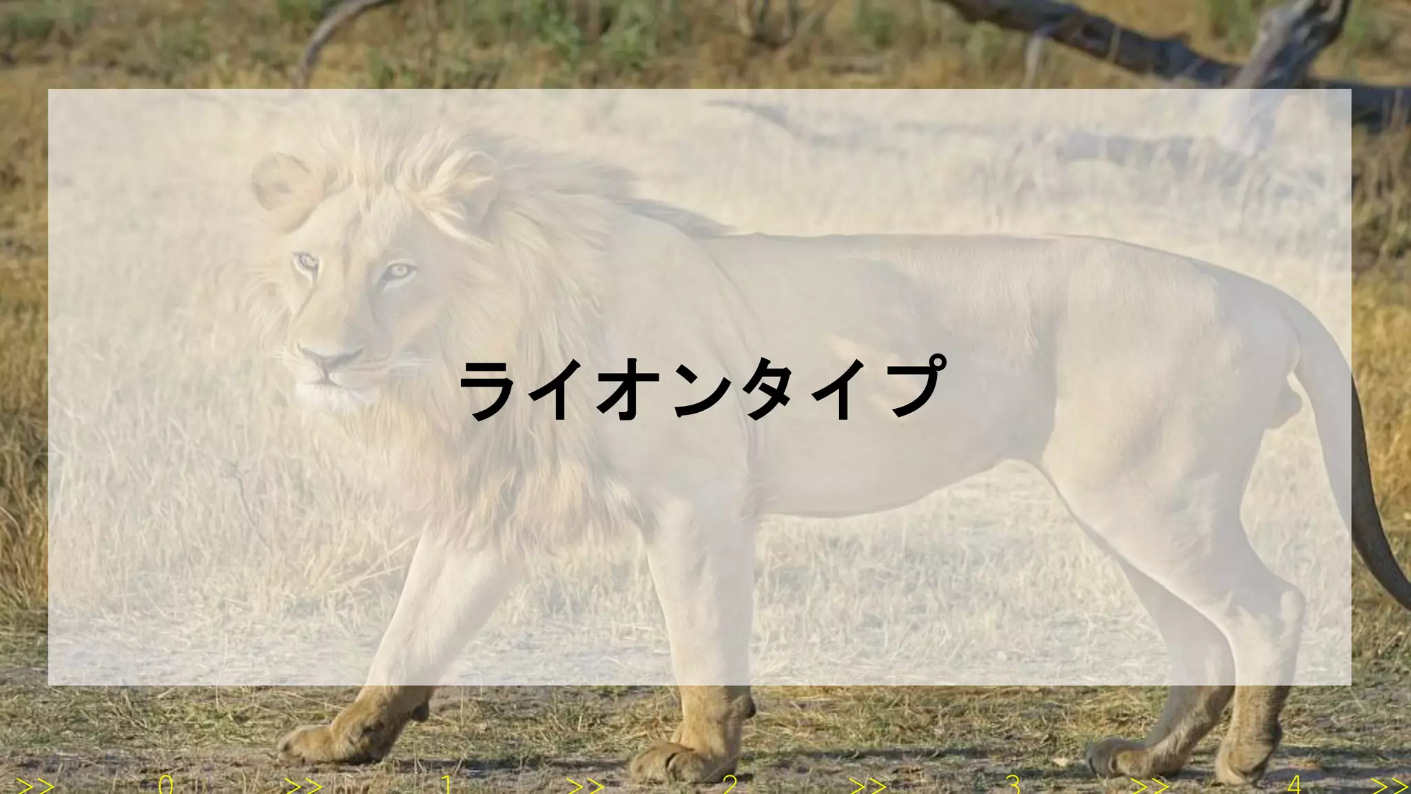 ライオンタイプ
 