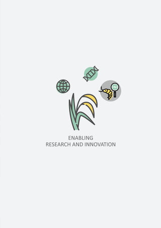 Annual Report 2017 13
 