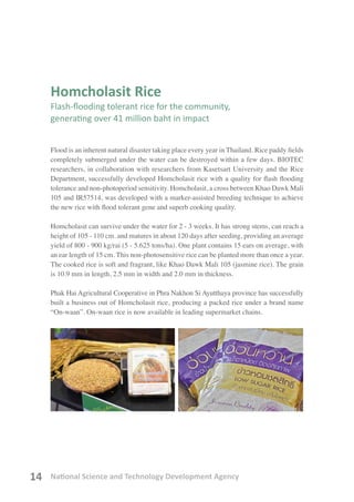 National Science and Technology Development Agency14
Homcholasit Rice
Flash-flooding tolerant rice for the community,
generating over 41 million baht in impact
Flood is an inherent natural disaster taking place every year in Thailand. Rice paddy fields
completely submerged under the water can be destroyed within a few days. BIOTEC
researchers, in collaboration with researchers from Kasetsart University and the Rice
Department, successfully developed Homcholasit rice with a quality for flash flooding
tolerance and non-photoperiod sensitivity. Homcholasit, a cross between Khao Dawk Mali
105 and IR57514, was developed with a marker-assisted breeding technique to achieve
the new rice with flood tolerant gene and superb cooking quality.
Homcholasit can survive under the water for 2 - 3 weeks. It has strong stems, can reach a
height of 105 - 110 cm. and matures in about 120 days after seeding, providing an average
yield of 800 - 900 kg/rai (5 - 5.625 tons/ha). One plant contains 15 ears on average, with
an ear length of 15 cm. This non-photosensitive rice can be planted more than once a year.
The cooked rice is soft and fragrant, like Khao Dawk Mali 105 (jasmine rice). The grain
is 10.9 mm in length, 2.5 mm in width and 2.0 mm in thickness.
Phak Hai Agricultural Cooperative in Phra Nakhon Si Ayutthaya province has successfully
built a business out of Homcholasit rice, producing a packed rice under a brand name
“On-waan”. On-waan rice is now available in leading supermarket chains.
 