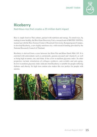 Annual Report 2017 15
Riceberry
Nutritious rice that creates a 29-million-baht impact
Rice is staple food in Thai culture, packed with nutrition and energy. To enrich rice, by
making it more healthy, the Rice Gene Discovery Unit, a research unit of BIOTEC-NSTDA,
teamed up with the Rice Science Center of Kasetsart University, Kampaengsaen Campus,
to develop Riceberry, a new highly nutritious rice, with research funding provided by the
National Research Council of Thailand.
Riceberry is derived from a cross between Jao Hom Nin and Khao Dawk Mali 105. It is
enriched with antioxidants such as carotenoids, gamma oryzanol and vitamin E, as well
as being high in tannin, zinc and folate. It has a low to medium glycemic index. Its other
properties include stimulation of collagen synthesis, anti-wrinkle and anti-aging.
Its low to medium glycemic index indicates that Riceberry is suitable for people suffering
diabetes and obesity. Its high iron content also makes this rice perfect for people with
anemia.
 