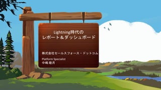 Lightning
Platform Specialist
 
