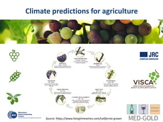 Climate predictions for agriculture
Source: https://www.hangtimewines.com/california-grown
 