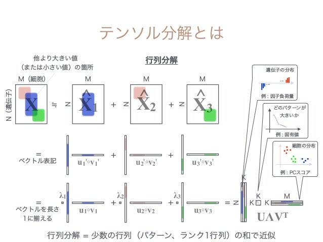 非負値テンソル分解を用いた細胞間コミュニケーション検出非負値テンソル分解を用いた細胞間コミュニケーション検出