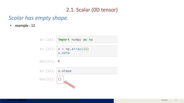 Tensor Explained