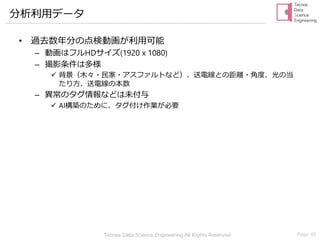 Tecnos Data Science Engineering All Rights Reserved Page 45
分析利用データ
• 過去数年分の点検動画が利用可能
– 動画はフルHDサイズ(1920 x 1080)
– 撮影条件は多様
✓ 背景（木々・民家・アスファルトなど）、送電線との距離・角度、光の当
たり方、送電線の本数
– 異常のタグ情報などは未付与
✓ AI構築のために、タグ付け作業が必要
 