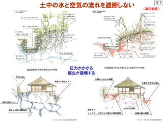 土中の水と空気の流れを遮断しない
２７
（高田宏臣）
圧力がかかる
植生が崩壊する
 