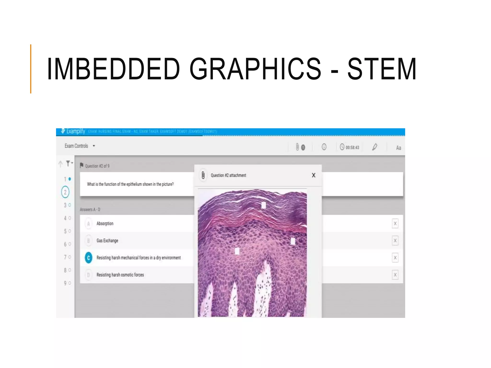 IMBEDDED GRAPHICS - STEM
 