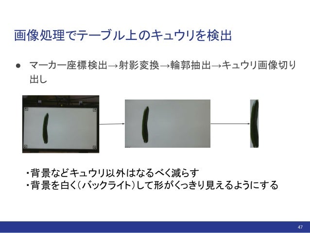 AIを使ったキュウリの自動選別