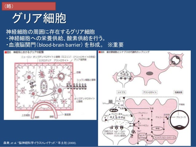 第6回 Kaim 金沢人工知能勉強会 人工知能を知るために脳を知る 第6回 Kaim 金沢人工知能勉強会 人工知能を知るために脳を知る