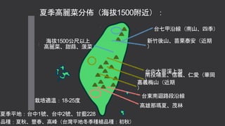 夏季高麗菜分佈（海拔1500附近）：
台七甲沿線（南山、四季）
新竹後山、苗栗泰安（近期
）
南投埔里、信義、仁愛（華岡
）
台中大甲溪上游
台東南迴路段沿線
高雄那瑪夏、茂林
海拔1500公尺以上
高麗菜、甜蒜、菠菜
栽培適溫：18-25度
品種：夏秋、豐春、高峰（台灣平地冬季種植品種：初秋）
夏季平地：台中1號、台中2號、甘藍228
嘉義梅山（近期
）
 
