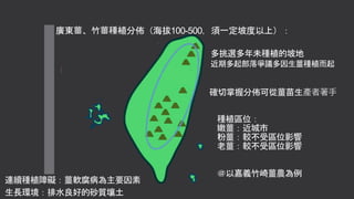 廣東薑、竹薑種植分佈（海拔100-500，須一定坡度以上）：
種植區位：
嫩薑：近城市
粉薑：較不受區位影響
老薑：較不受區位影響
連續種植障礙：薑軟腐病為主要因素
生長環境：排水良好的砂質壤土
＠以嘉義竹崎薑農為例
確切掌握分佈可從薑苗生產者著手
近期多起部落爭議多因生薑種植而起
多挑選多年未種植的坡地
 