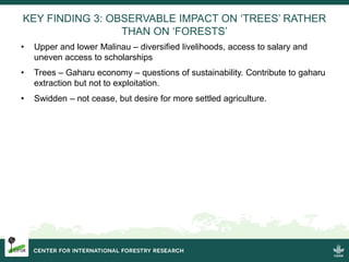Migration and Land Use Change in the Forests Frontiers in Indonesia