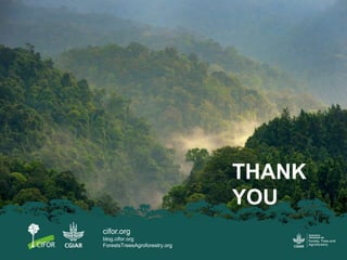 Migration and Land Use Change in the Forests Frontiers in Indonesia