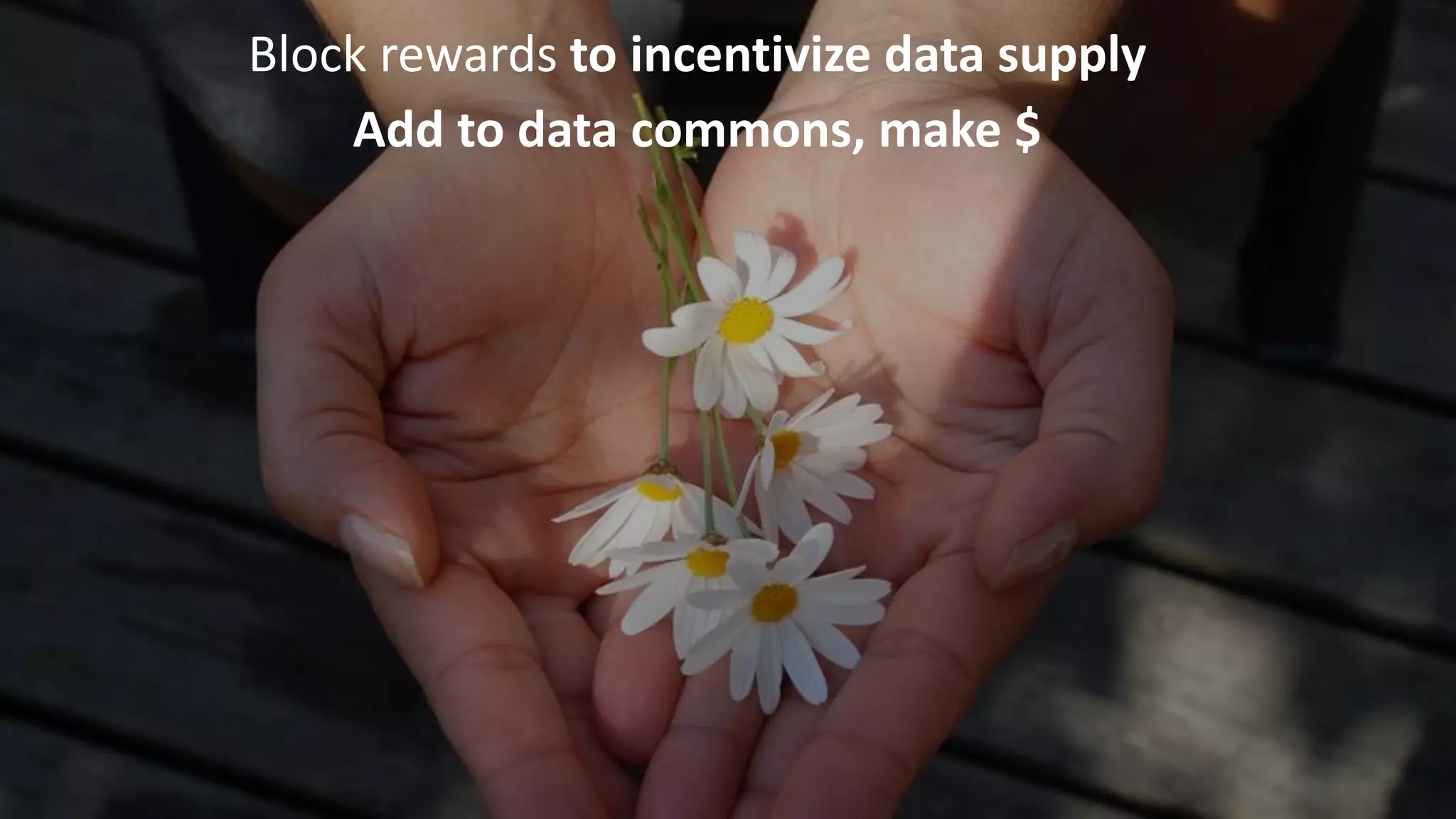Block rewards to incentivize data supply
Add to data commons, make $
 