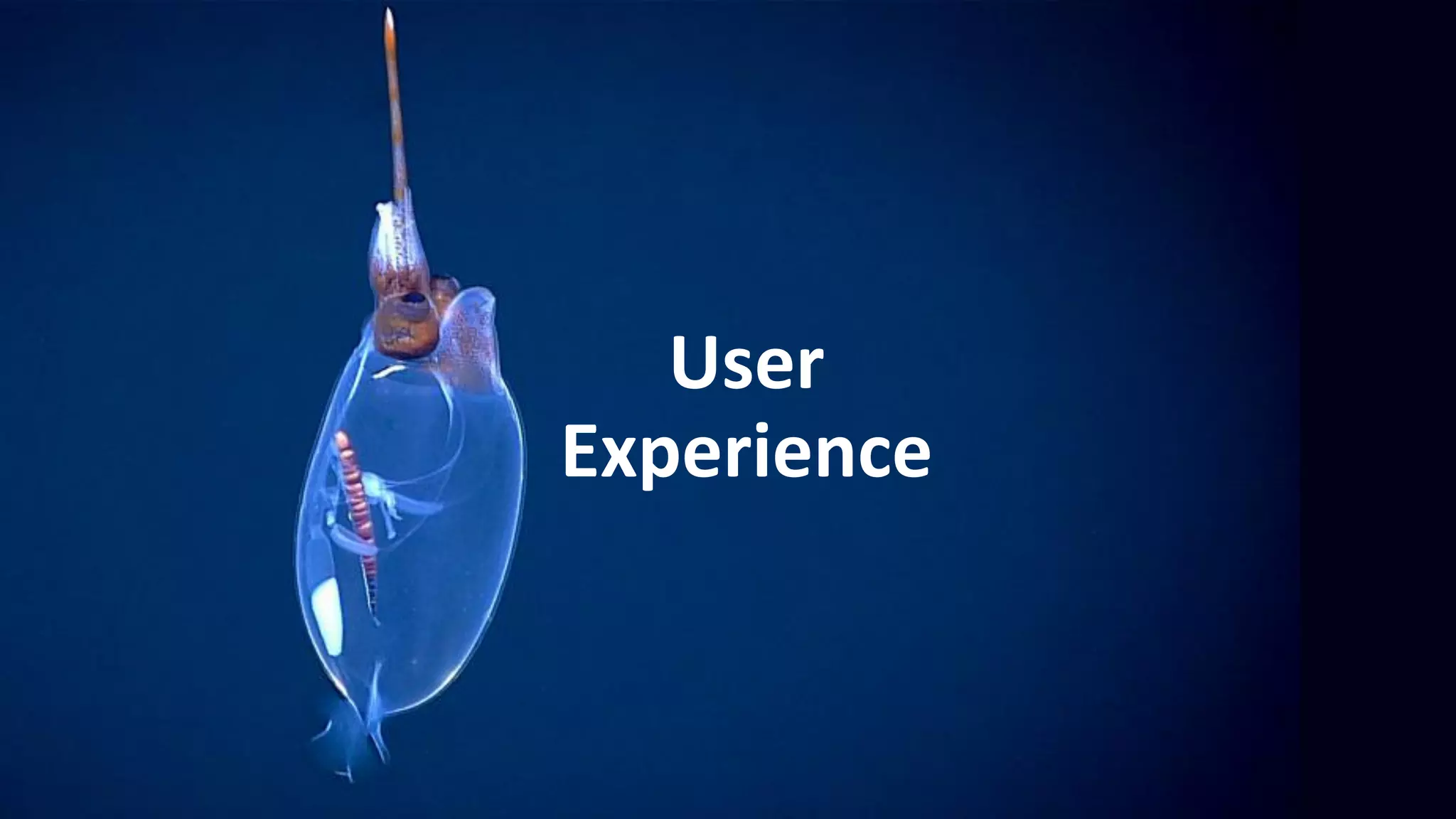 User
Experience
 