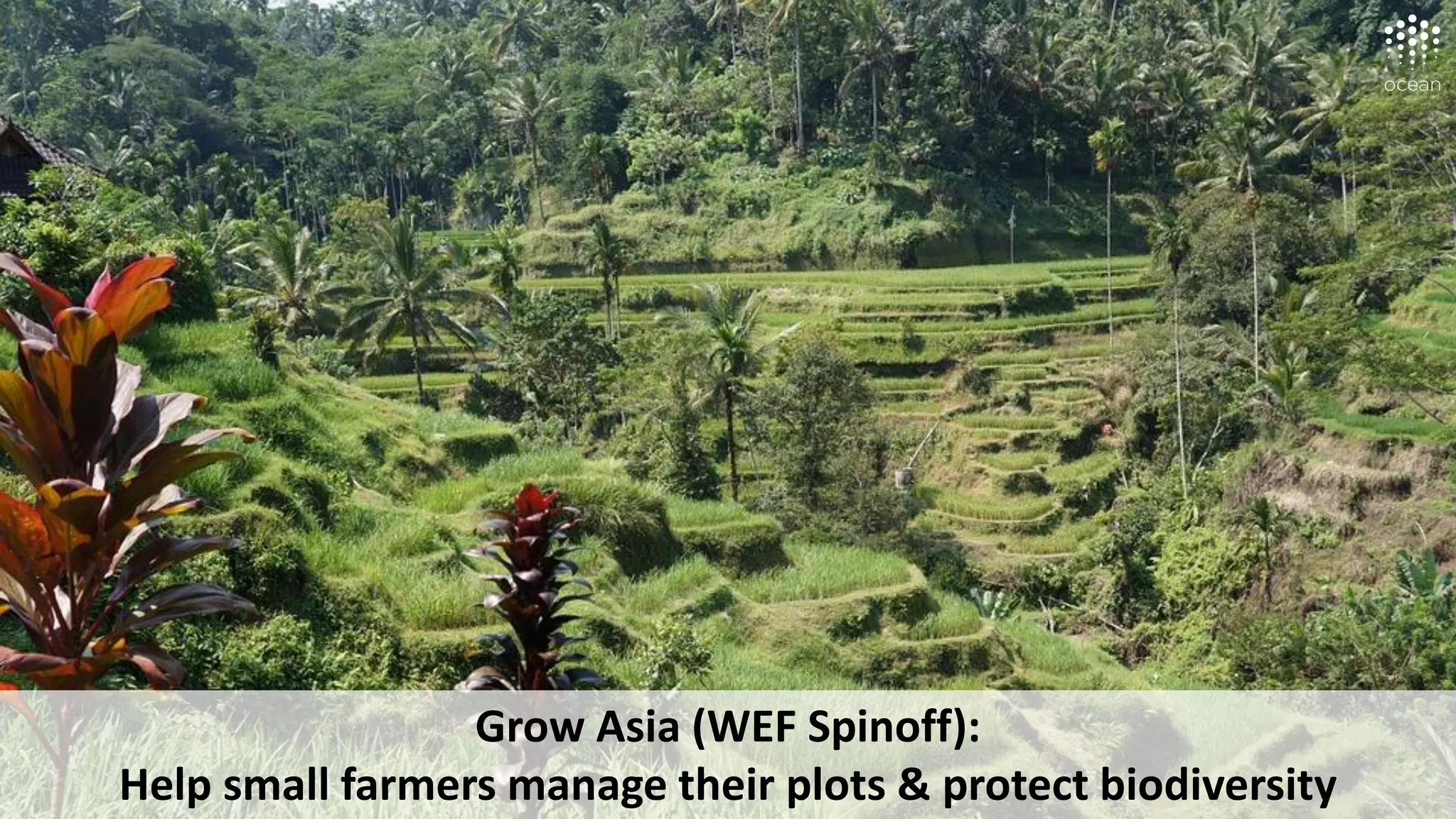 Grow Asia (WEF Spinoff):
Help small farmers manage their plots & protect biodiversity
 