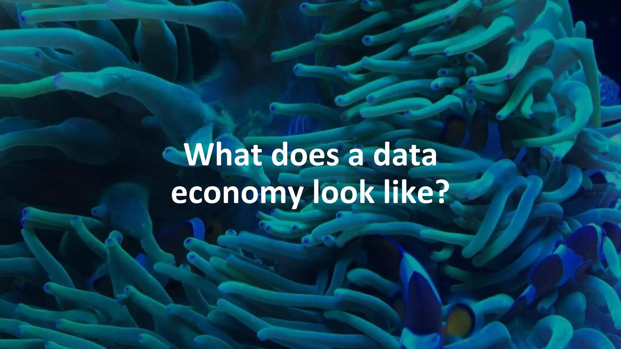 What does a data
economy look like?
 
