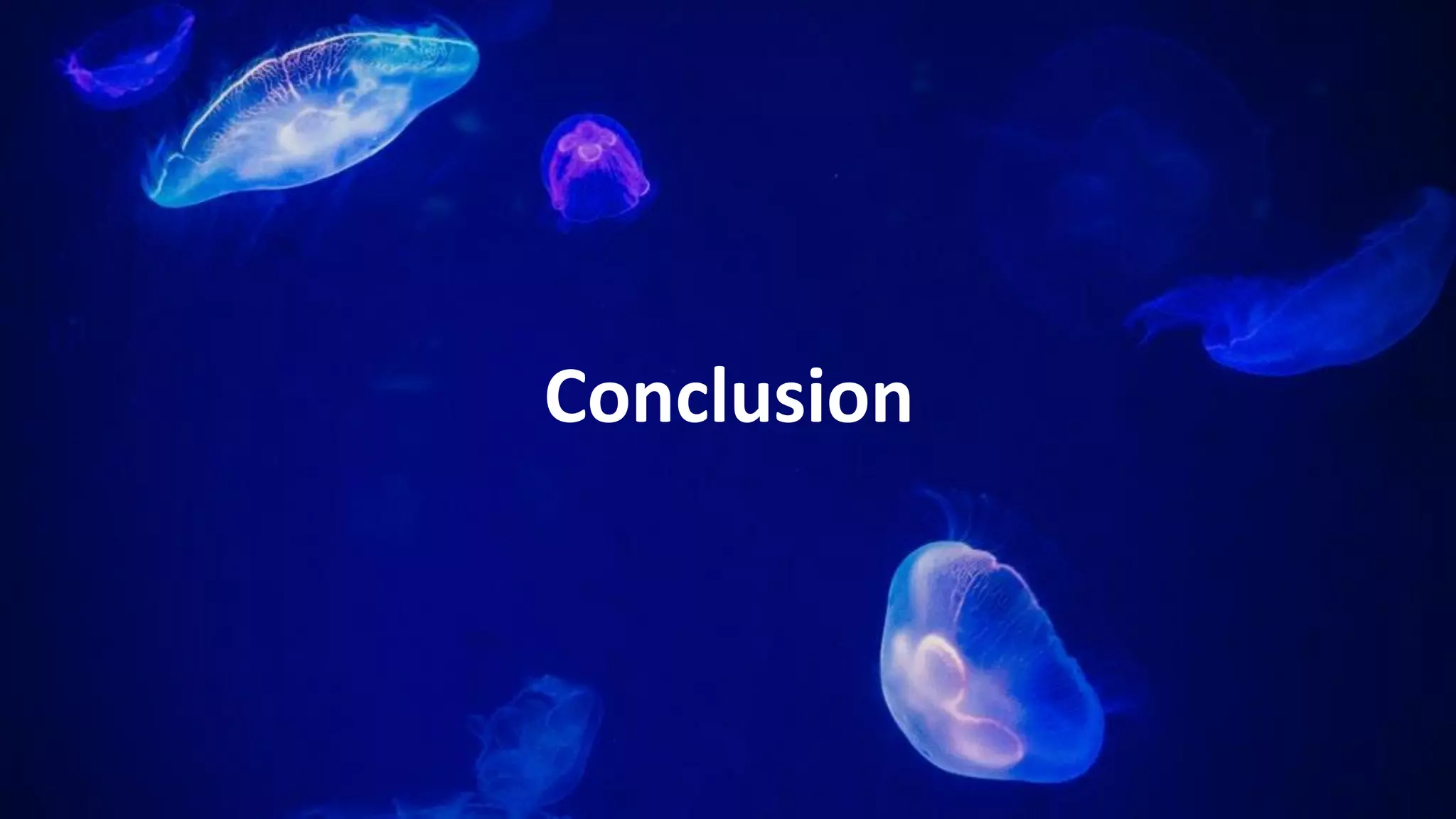 Roadmap
Alpha Aug ‘18, Mainnet Mar ‘19
Conclusion
 