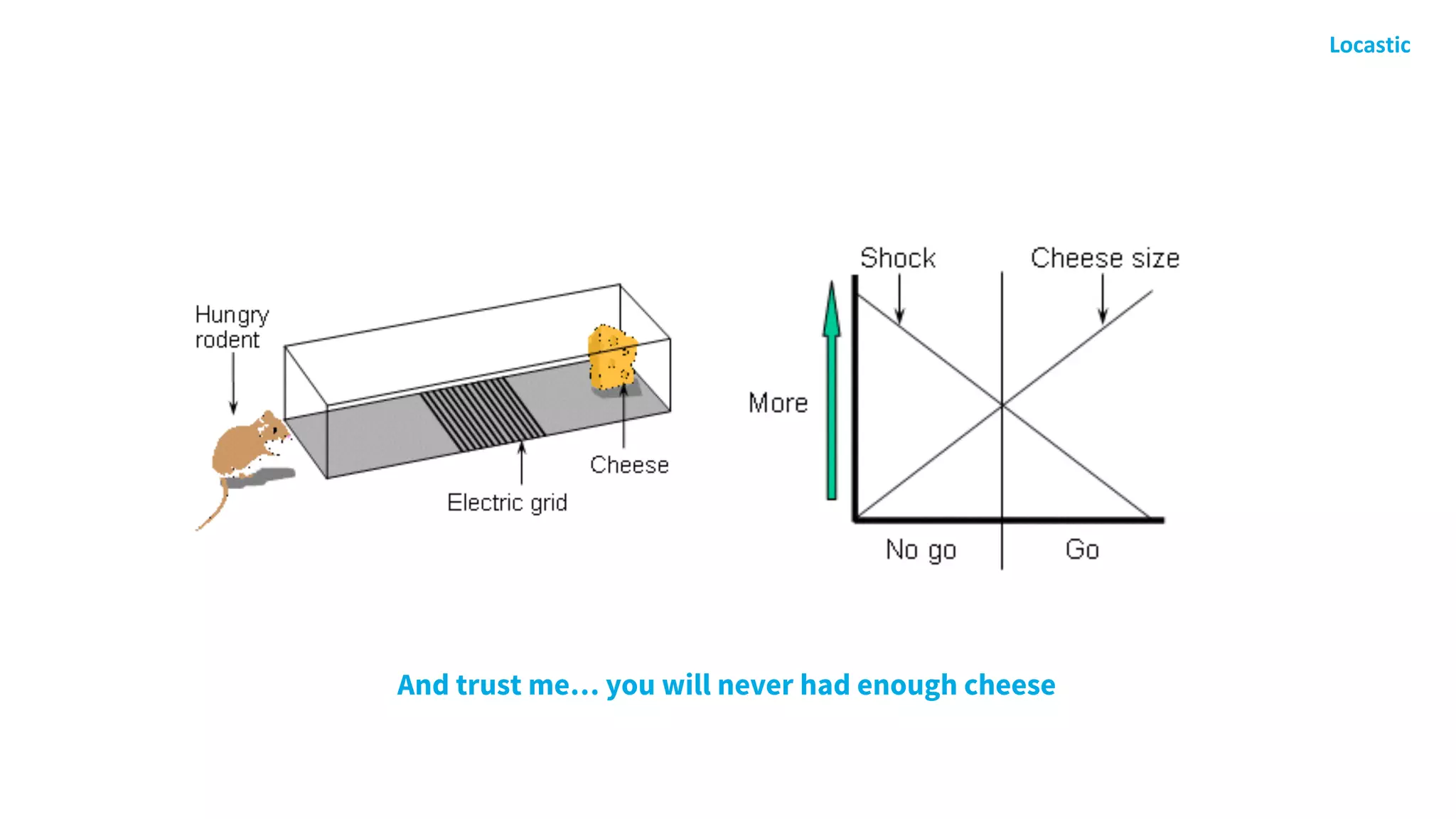 And trust me… you will never had enough cheese
 