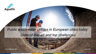Francis Meerburg, R&D 25 Oct 2018
Public wastewater utilities in European cities today:
State-of-the-art and top challenges
 