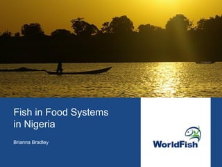 Fish in Food Systems
in Nigeria
Brianna Bradley
 