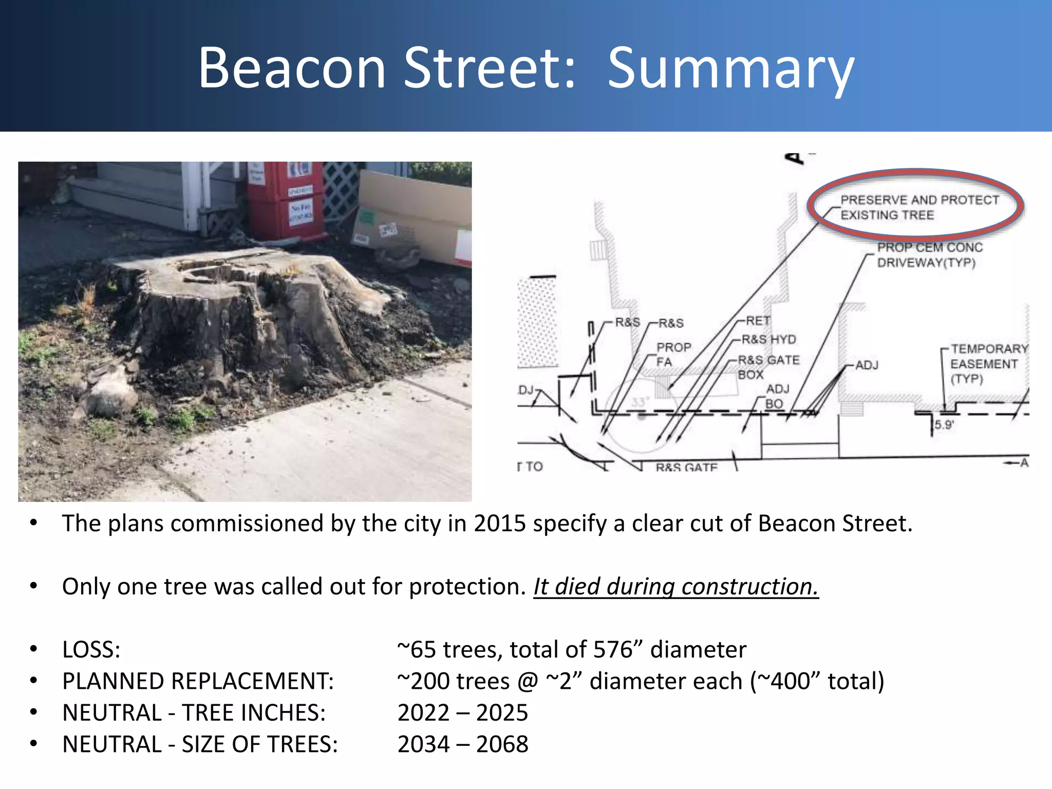 Beacon Street: Summary
• The plans commissioned by the city in 2015 specify a clear cut of Beacon Street.
• Only one tree was called out for protection. It died during construction.
• LOSS: ~65 trees, total of 576” diameter
• PLANNED REPLACEMENT: ~200 trees @ ~2” diameter each (~400” total)
• NEUTRAL - TREE INCHES: 2022 – 2025
• NEUTRAL - SIZE OF TREES: 2034 – 2068
 