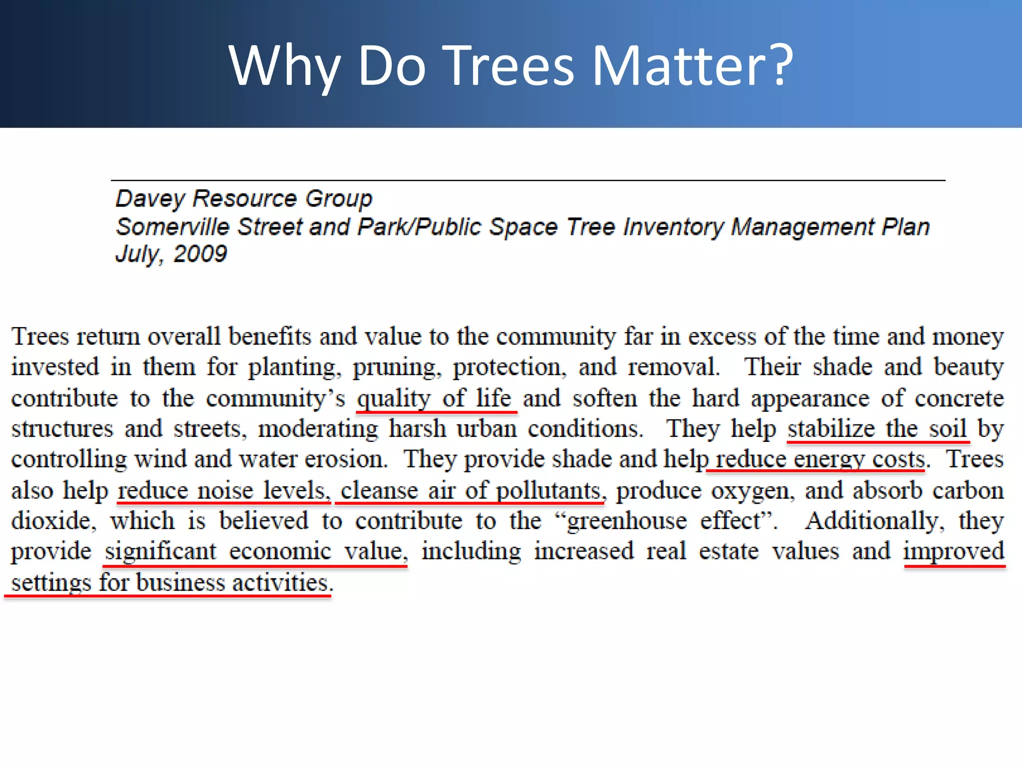 Why Do Trees Matter?
 